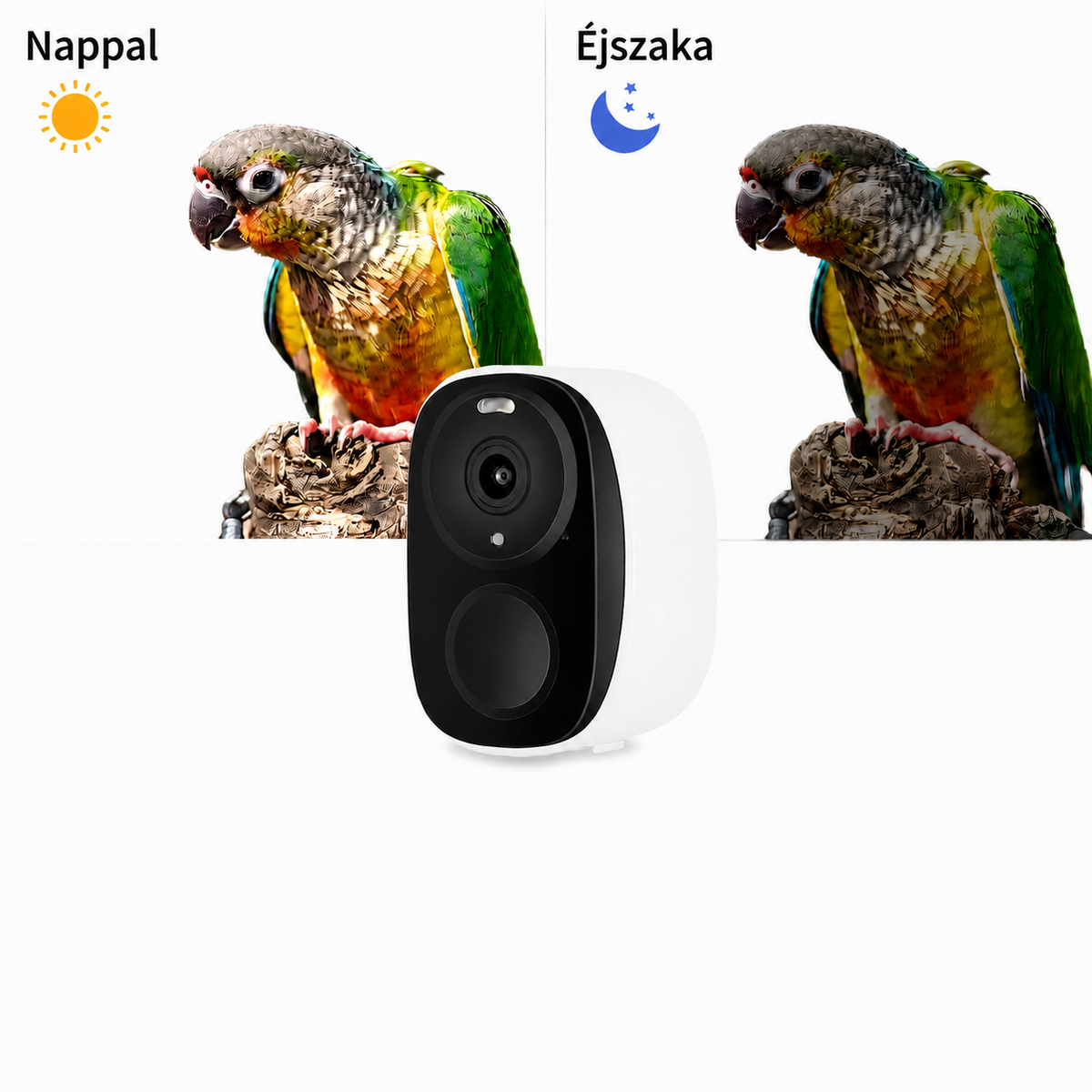 Okos madáretető kamerával