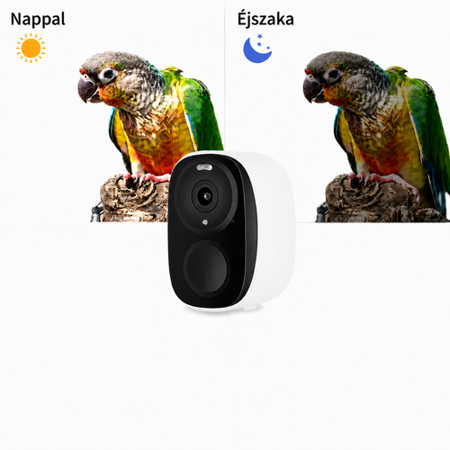 Okos madáretető kamerával